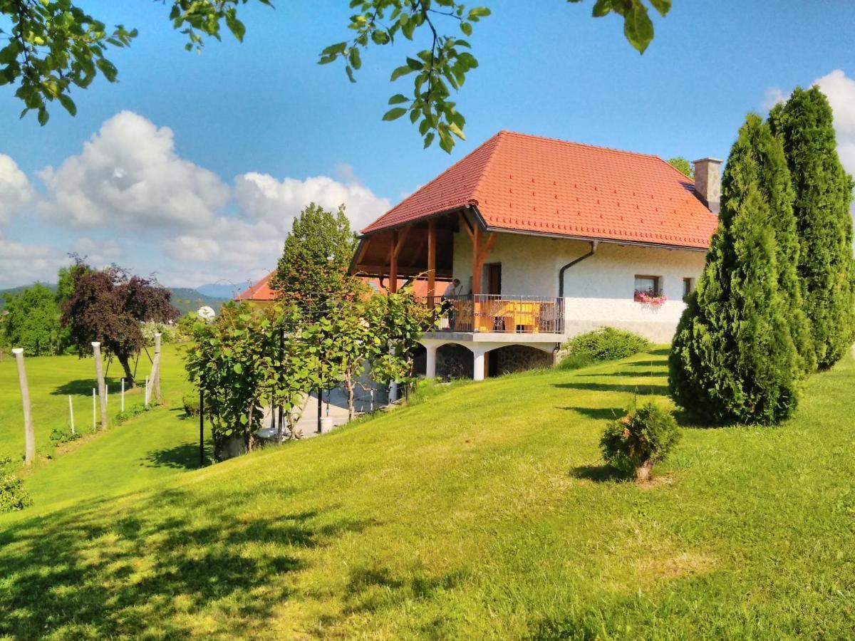 Holiday Home Dobrotin ヴォイニク エクステリア 写真