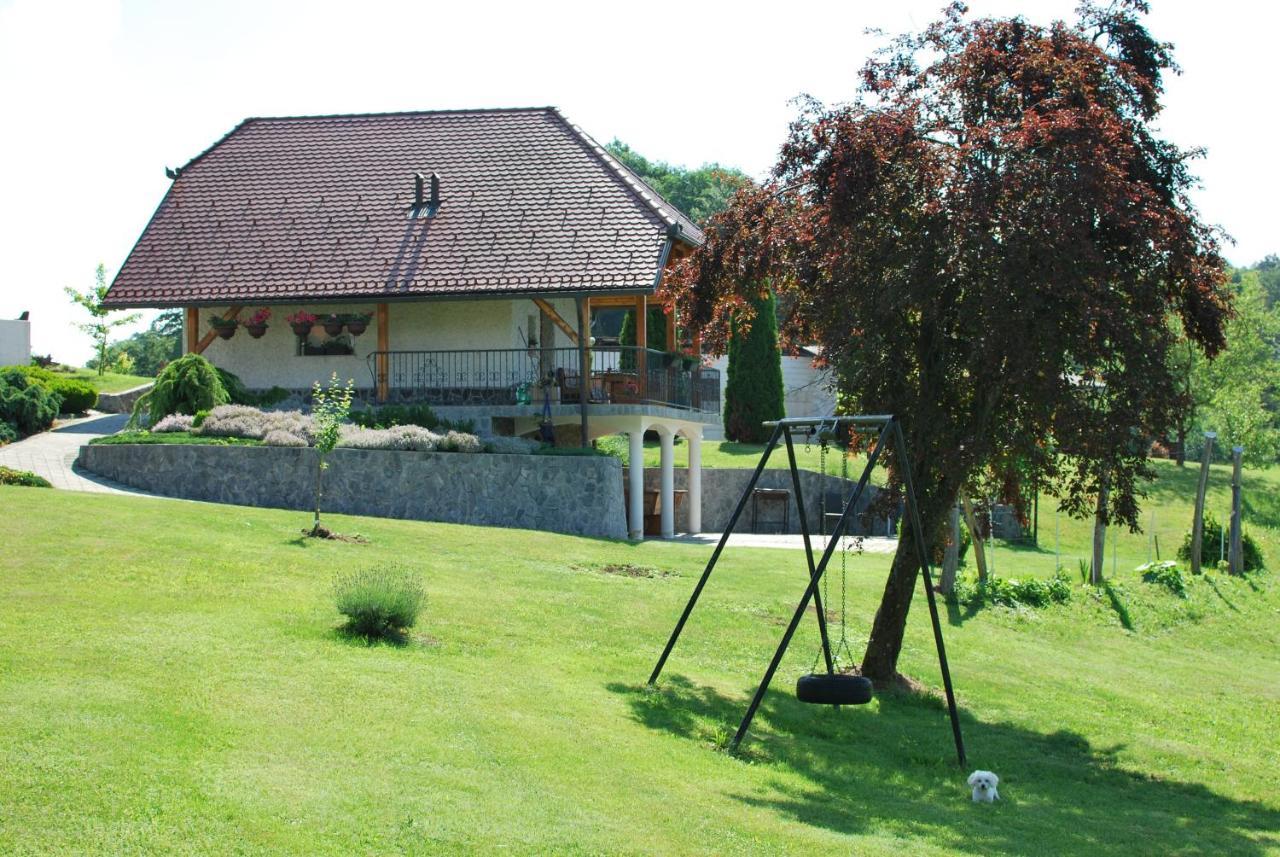 Holiday Home Dobrotin ヴォイニク エクステリア 写真