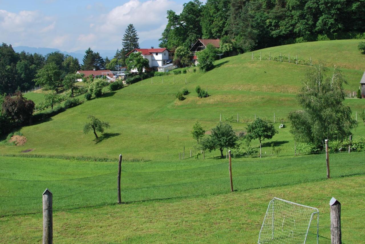 Holiday Home Dobrotin ヴォイニク エクステリア 写真