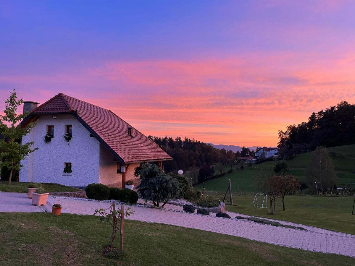 Holiday Home Dobrotin ヴォイニク エクステリア 写真