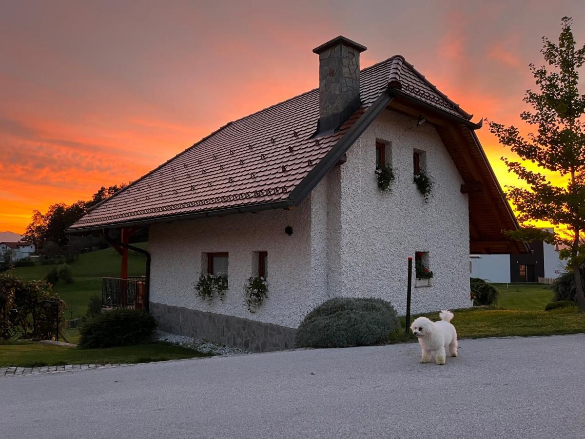 Holiday Home Dobrotin ヴォイニク エクステリア 写真
