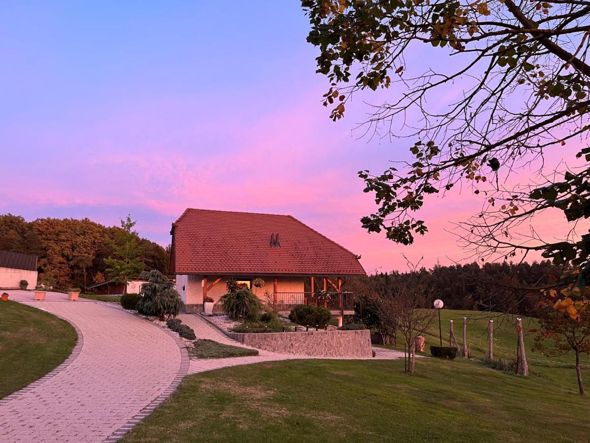Holiday Home Dobrotin ヴォイニク エクステリア 写真
