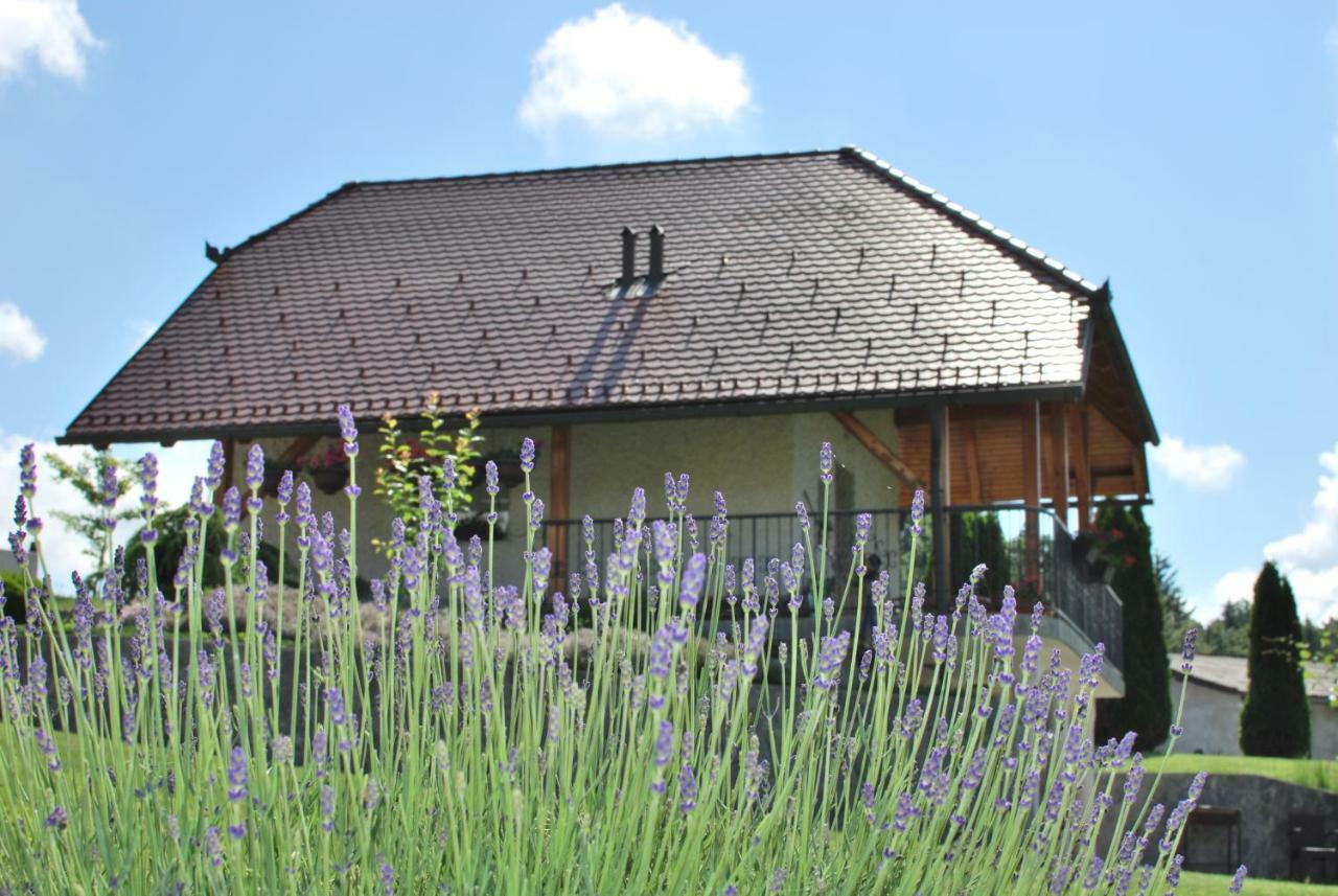 Holiday Home Dobrotin ヴォイニク エクステリア 写真