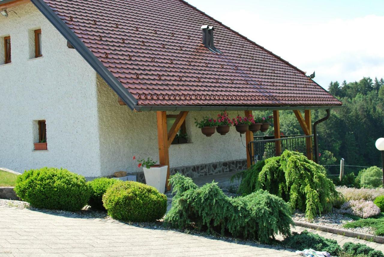 Holiday Home Dobrotin ヴォイニク エクステリア 写真