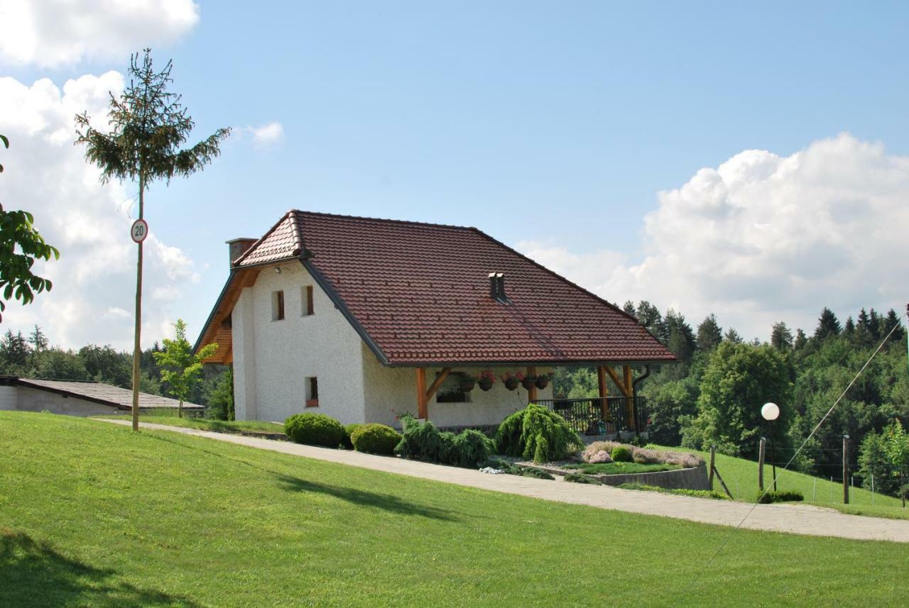 Holiday Home Dobrotin ヴォイニク エクステリア 写真