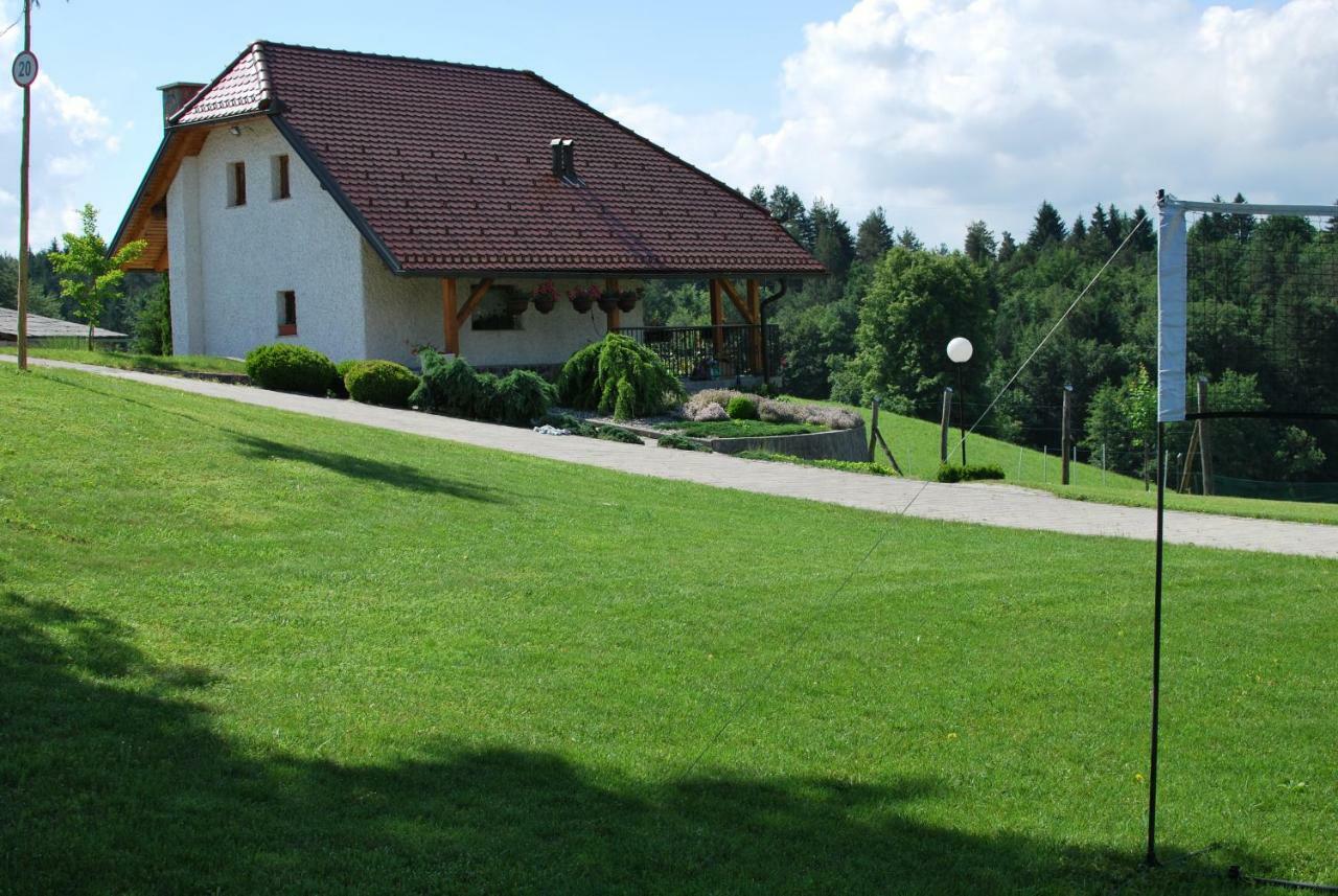 Holiday Home Dobrotin ヴォイニク エクステリア 写真