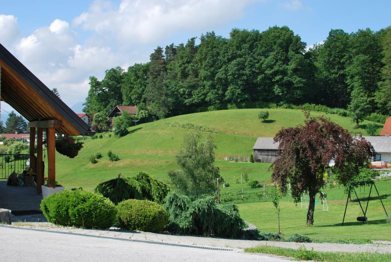 Holiday Home Dobrotin ヴォイニク エクステリア 写真