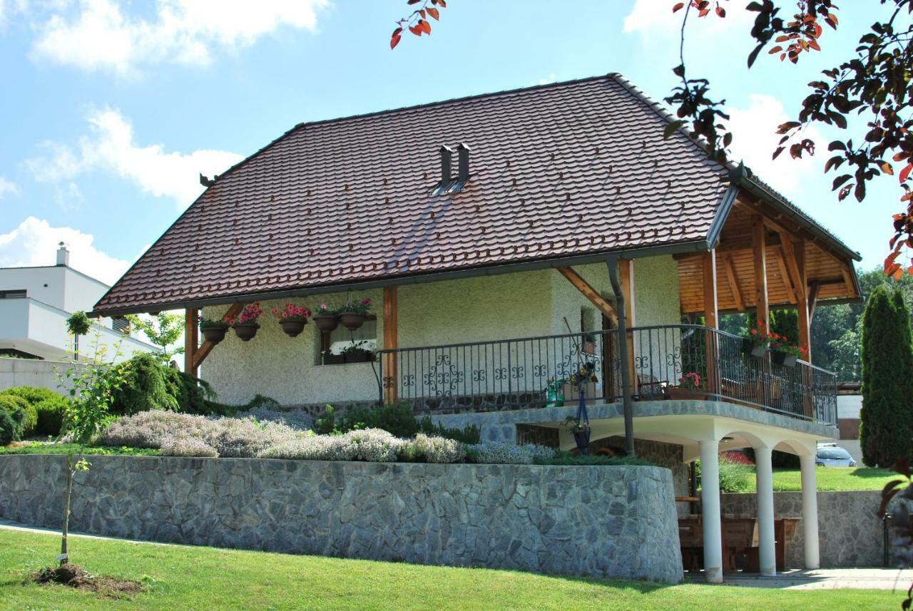Holiday Home Dobrotin ヴォイニク エクステリア 写真