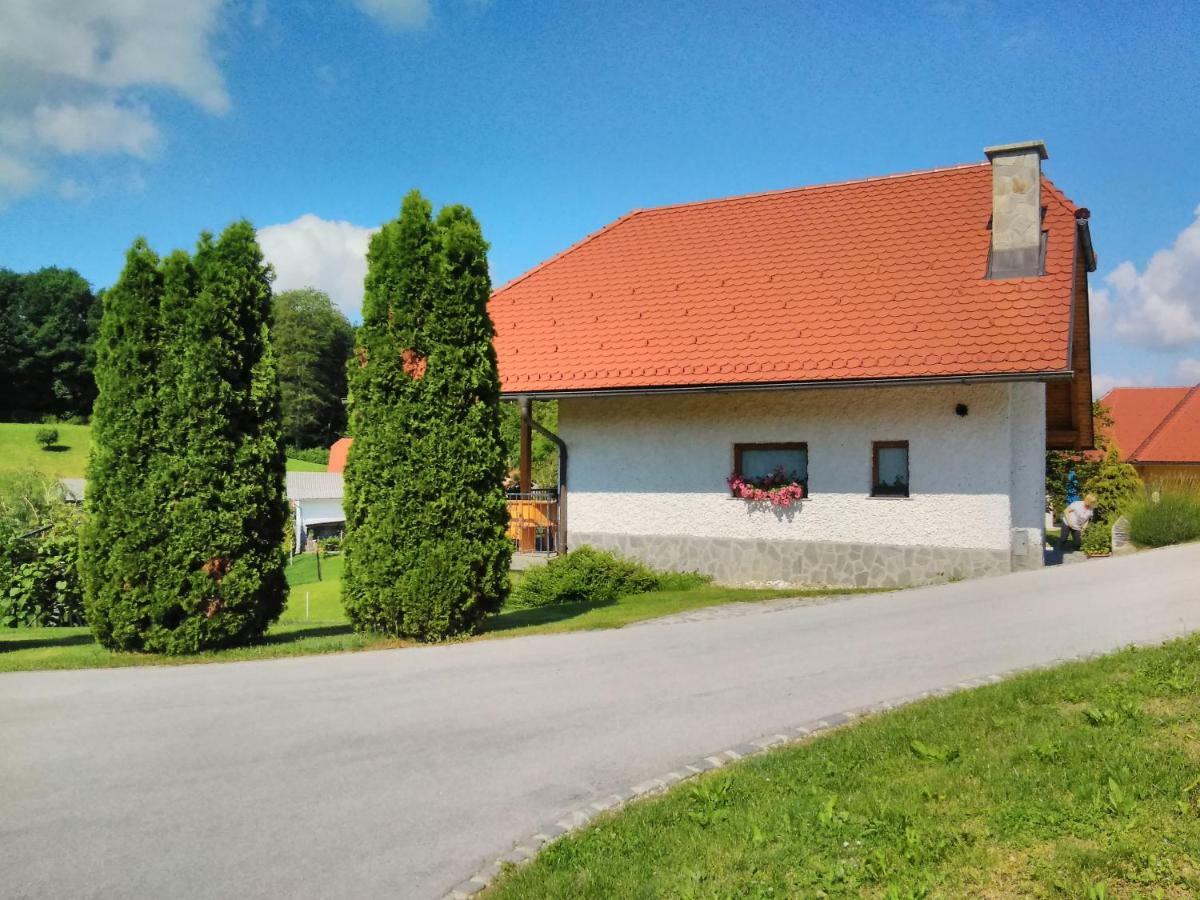 Holiday Home Dobrotin ヴォイニク エクステリア 写真