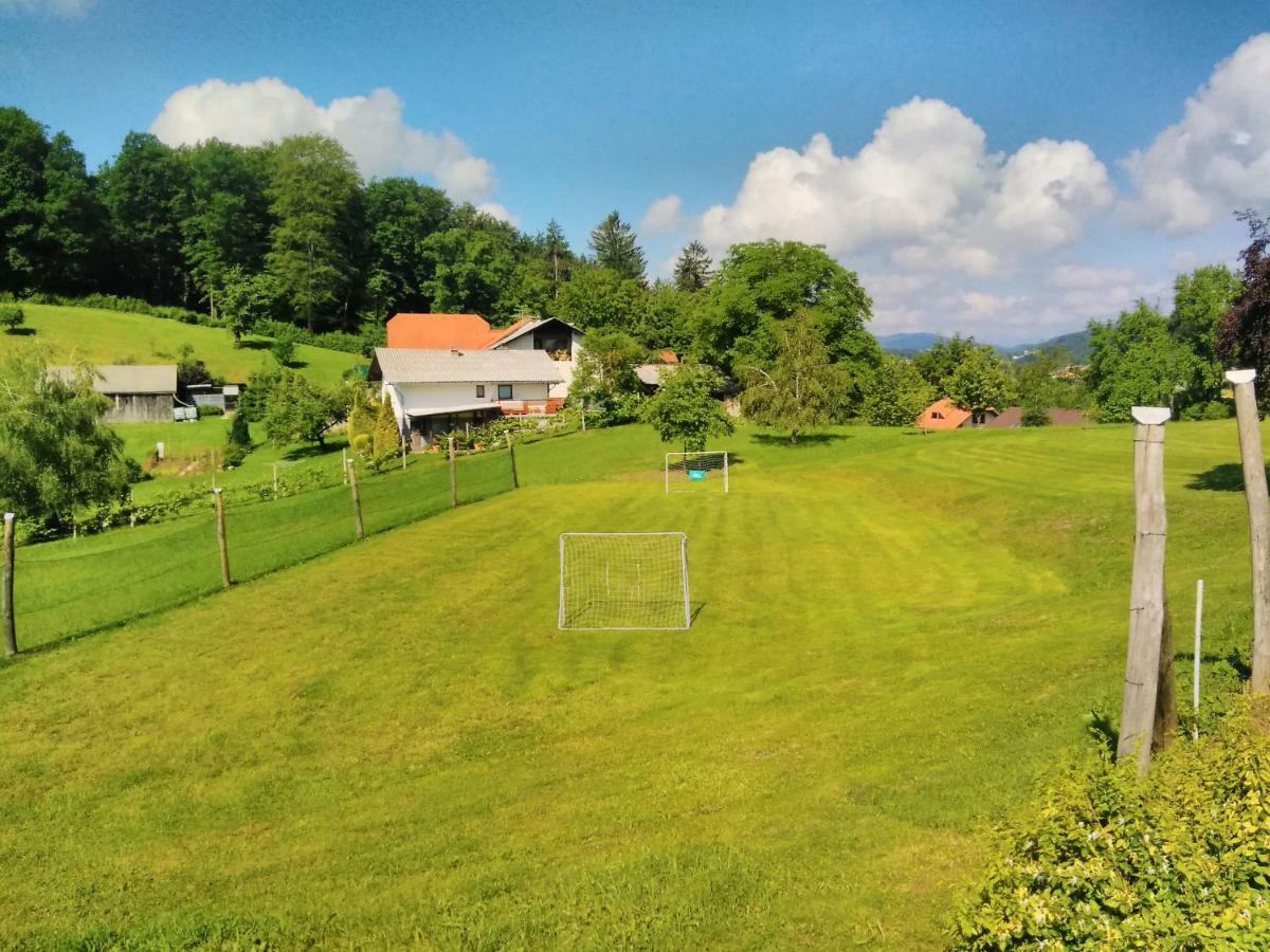 Holiday Home Dobrotin ヴォイニク エクステリア 写真