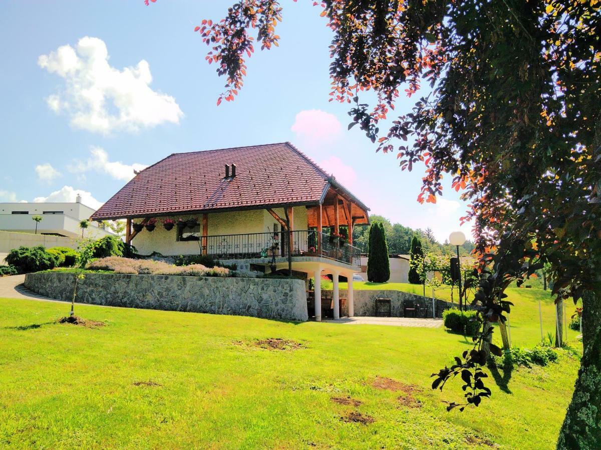 Holiday Home Dobrotin ヴォイニク エクステリア 写真