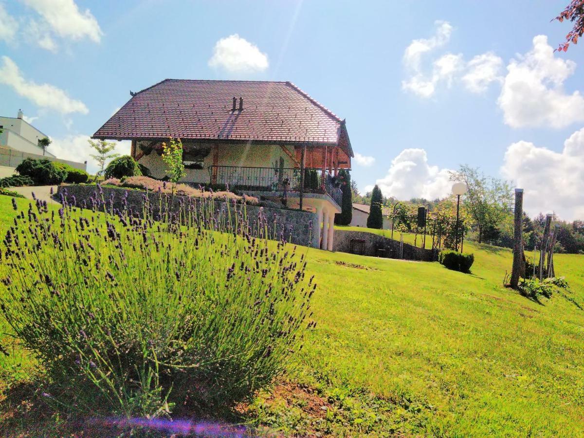 Holiday Home Dobrotin ヴォイニク エクステリア 写真