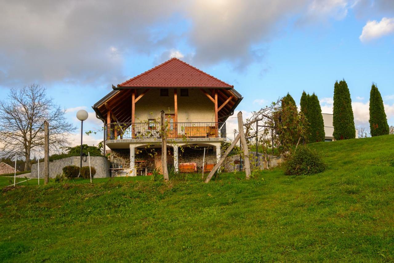 Holiday Home Dobrotin ヴォイニク エクステリア 写真