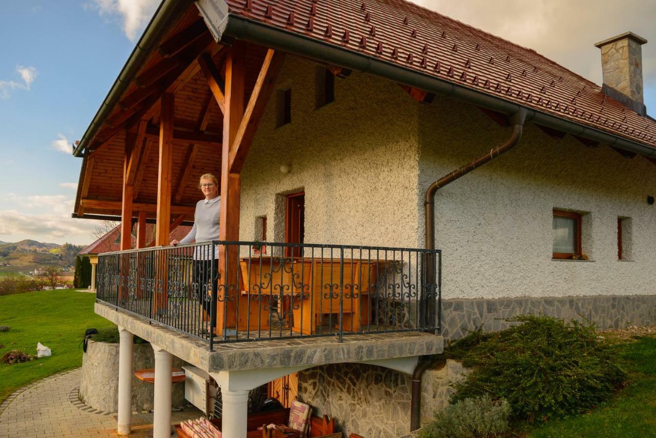 Holiday Home Dobrotin ヴォイニク エクステリア 写真