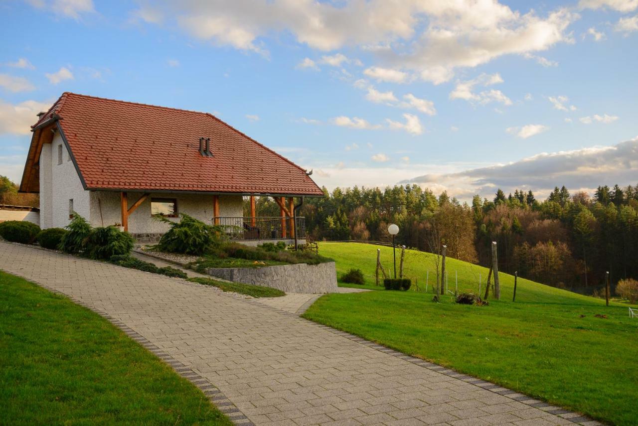 Holiday Home Dobrotin ヴォイニク エクステリア 写真