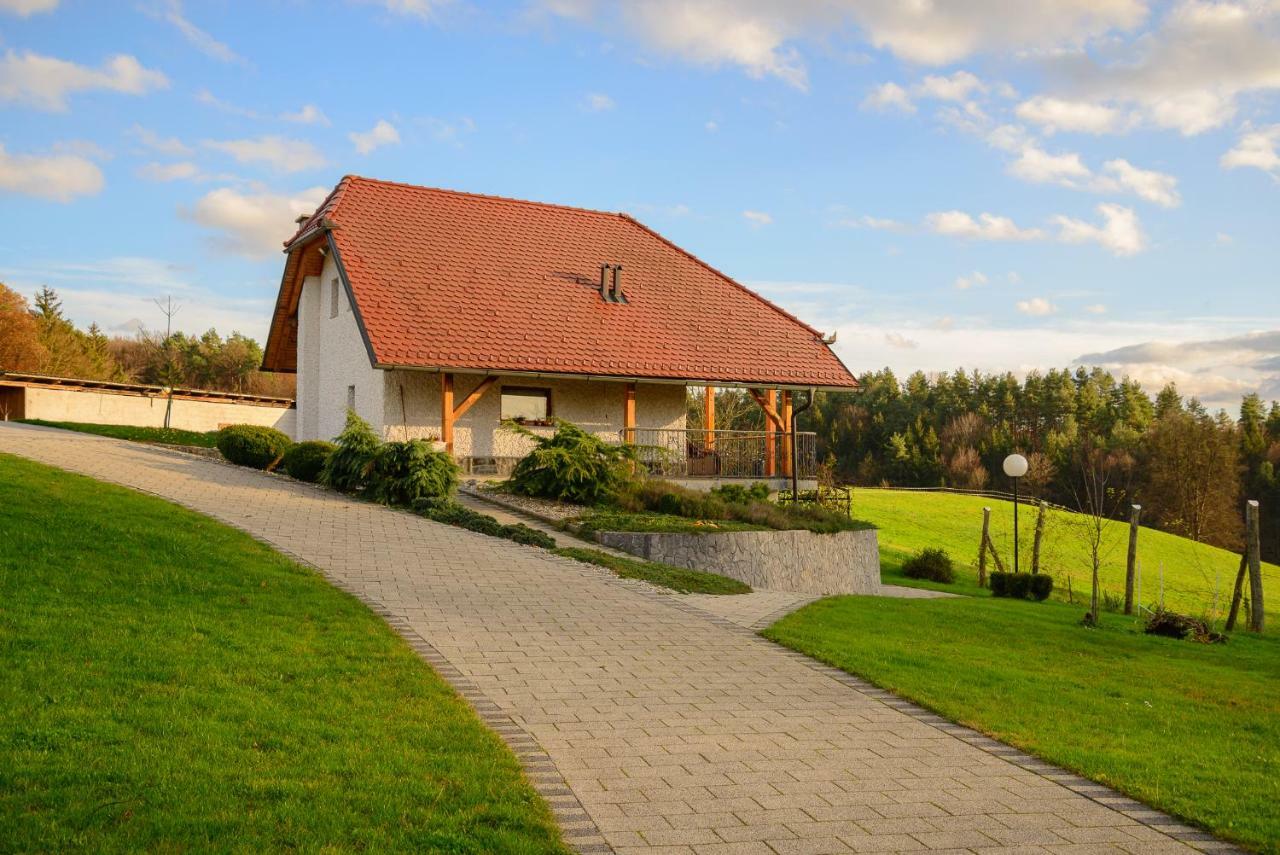 Holiday Home Dobrotin ヴォイニク エクステリア 写真